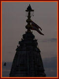 Diwali Celebration with Pramukh Swami Maharaj, Gondal,2009 - 
