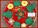 Diwali Celebration with Pramukh Swami Maharaj, Gondal,2009 - 