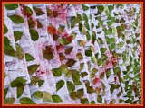 Diwali Celebration with Pramukh Swami Maharaj, Gondal,2009 - 