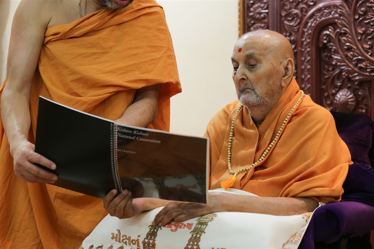 Swamishri's Involvement