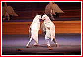 Cultural program by BAPS youths