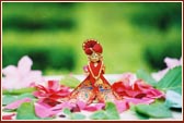  Harikrishna Maharaj adorned in beautiful garments
