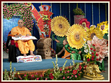 Pramukh Swami Maharaj in Ahmedabad, Bal Din, 9 May 2010 