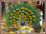 Annakut Celebration with Pramukh Swami Maharaj<br>Gondal<br>6 November 2010 - 