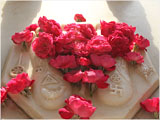 Holy charnarvind of Bhagwan Swaminarayan