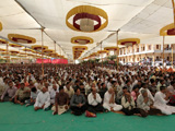  Devotees engaged in darshan of Swamishri