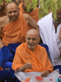  Swamishri in a divine mood