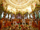  Senior sadhus and devotees engaged in patotsav mahapuja rituals