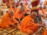  Sadhus and devotees engaged in patotsav mahapuja rituals