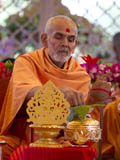  Pujya Mahant Swami engaged in mahapuja rituals