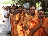  Sadhus engaged in Swamishri's darshan