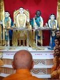  Swamishri engaged in darshan of Thakorji