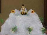  Shri Harikrishna Maharaj