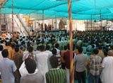  Devotees engaged in Swamishri's darshan