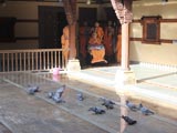  Swamishri arrives for Thakorji's darshan