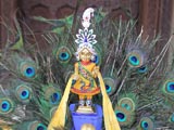  Shri Harikrishna Maharaj adorned in chandan