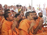  Sadhus engaged in Swamishri's darshan