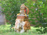  Shri Harikrishna Maharaj adorned in chandan