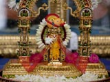  Shri Harikrishna Maharaj adorned in Chandan