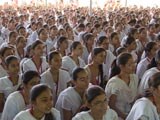  Youths engaged in darshan of Swamishri