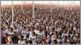  Youths engaged in darshan of Swamishri