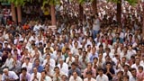 Devotees doing darshan of Swamishri