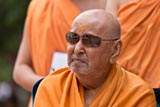 Swamishri in a divine mood 
