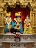  Shri Harikrishna Maharaj and Shri Radha-Krishna Dev