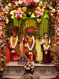  Shri Harikrishna Maharaj and Shri Radha-Krishna Dev