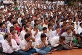 Devotees engaged in darshan of Swamishri