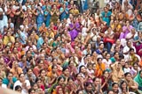  Devotees engaged in darshan of Swamishri
