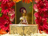  Shri Harikrishna Maharaj in Swamishri's puja