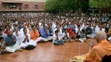  Devotees doing darshan of Swamishri