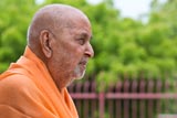  Swamishri engrossed in darshan