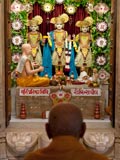  Swamishri engrossed in darshan