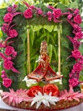  Shri Harikrishna Maharaj