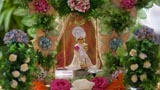  Shri Harikrishna Maharaj 