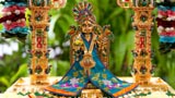  Shri Harikrishna Maharaj 