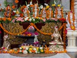  Murtis to be consecrated at Narmadeshwar Mahadev Mandir, Ahmedabad