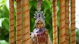  Shri Harikrishna Maharaj