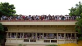  Devotees doing darshan of Swamishri