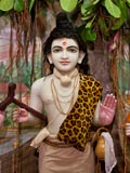  Bhagwan Swaminarayan