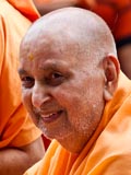  Swamishri in a divine mood