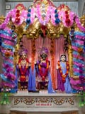  Shri Harikrishna Maharaj and Shri Radha-Krishna Dev