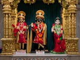  Shri Harikrishna Maharaj and Shri Radha-Krishna Dev