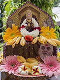  Shri Harikrishna Maharaj
