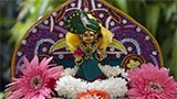  Shri Harikrishna Maharaj