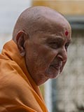  Swamishri in a divine mood