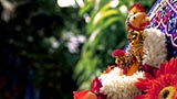  Shri Harikrishna Maharaj