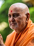 Swamishri in a divine mood